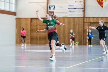 Bild 232 - wDJ HSG Kremperheide/Muensterdorf - TSV SR Schuelp : Ergebnis: 26:5